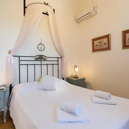 Agallis Corfu Σωκράκι