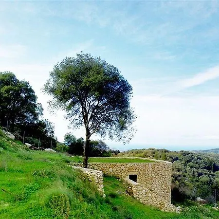 Agallis Corfu Σπίτι διακοπών *