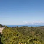 Agallis Corfu Sokrákion