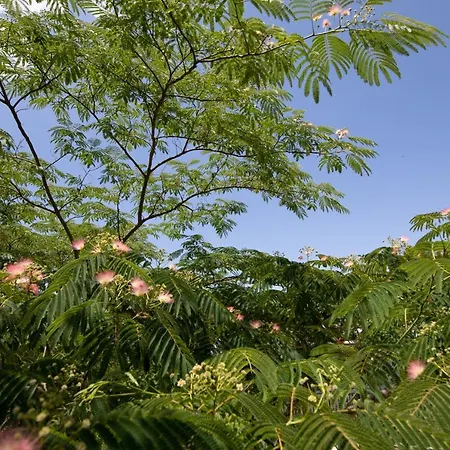 Holiday home Agallis Corfu Sokrakion