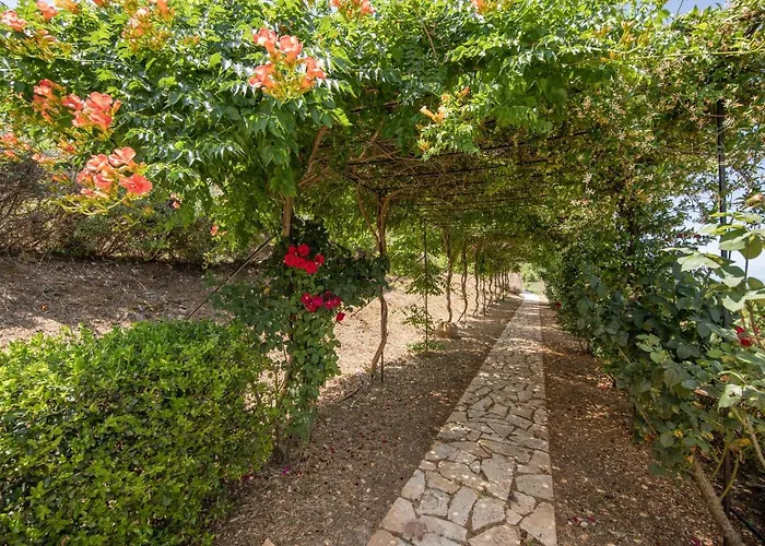 Agallis Corfu * Sokrákion