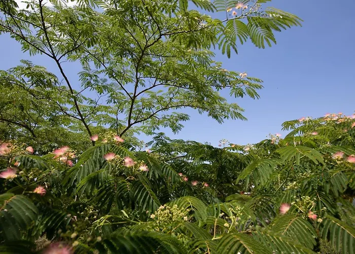 펜션 Agallis Corfu Sokrákion